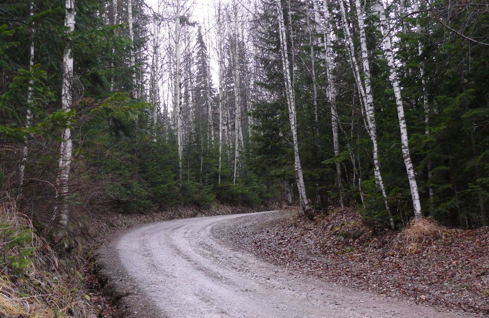 В Национальном парке