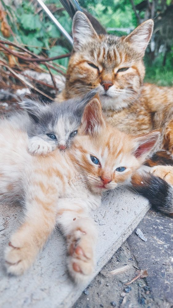 Photograph by Родионова Ксения