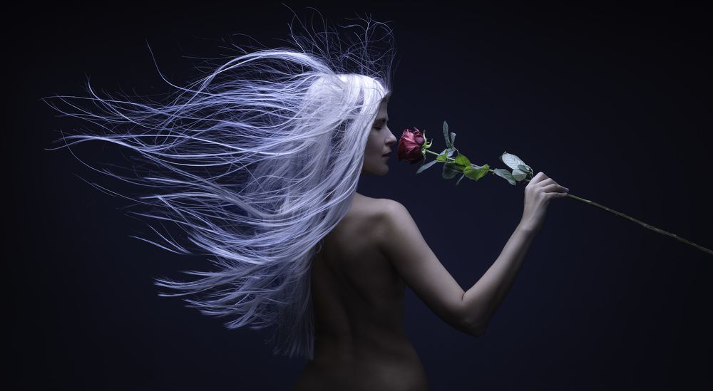 Photograph by Денис Боровских