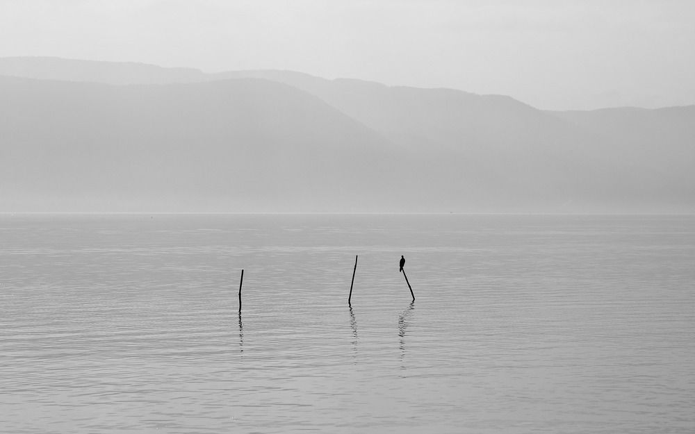 Photograph by Nurlan Tahirli