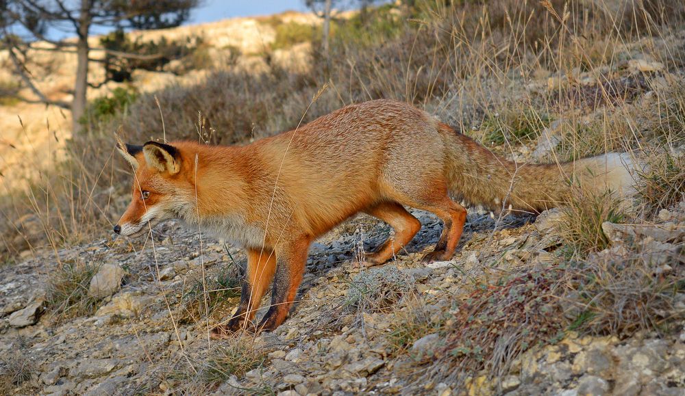 Photograph by Михаил Колтухов