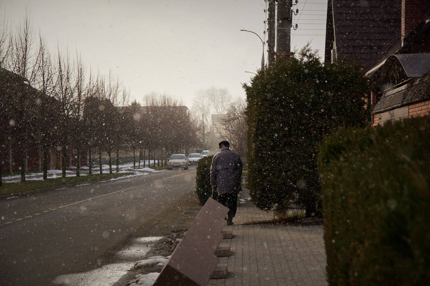 Photo #8876254