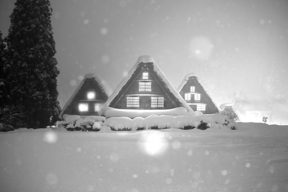 Фотография автора Luong Quyen