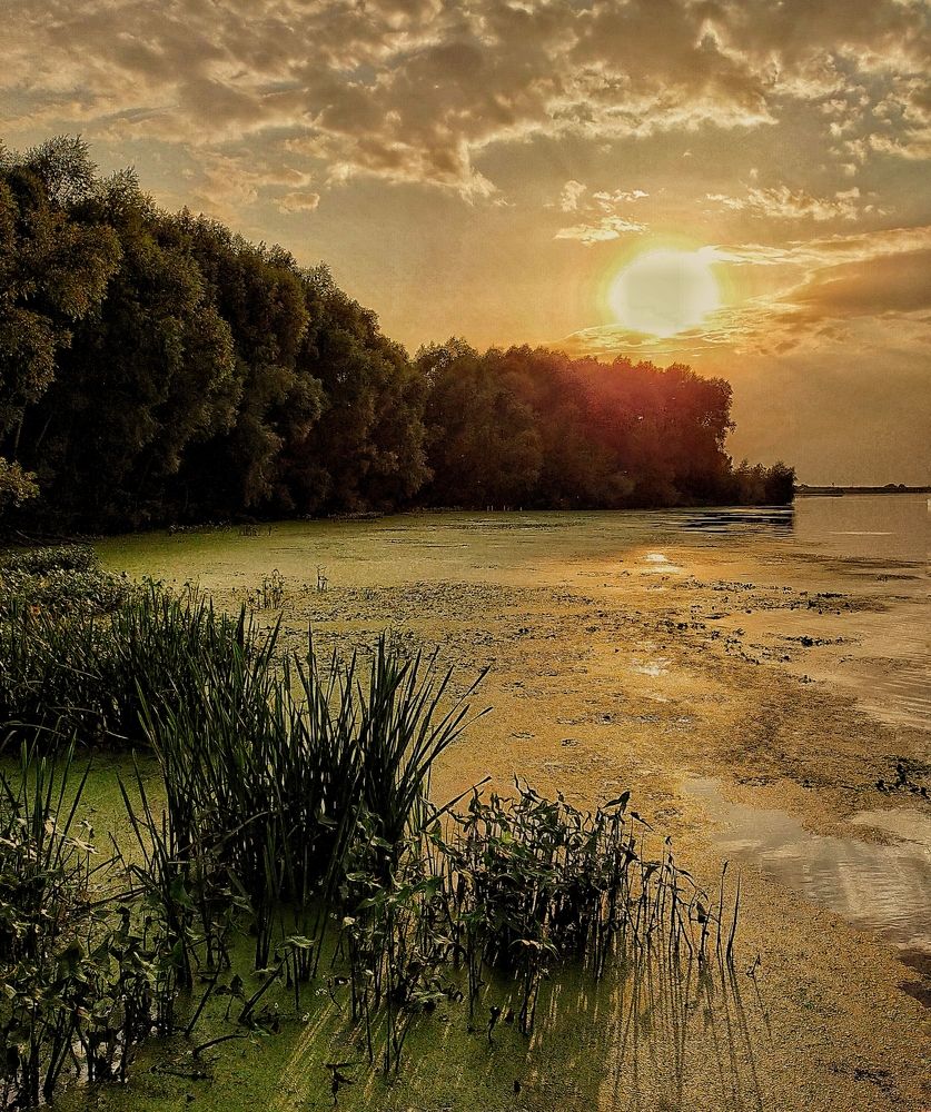 Photograph by Ольга Мартьянова