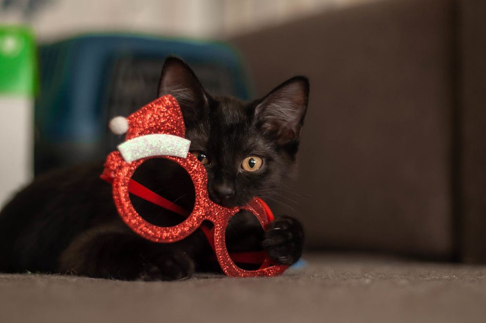 Photograph by Виктория Павлюк