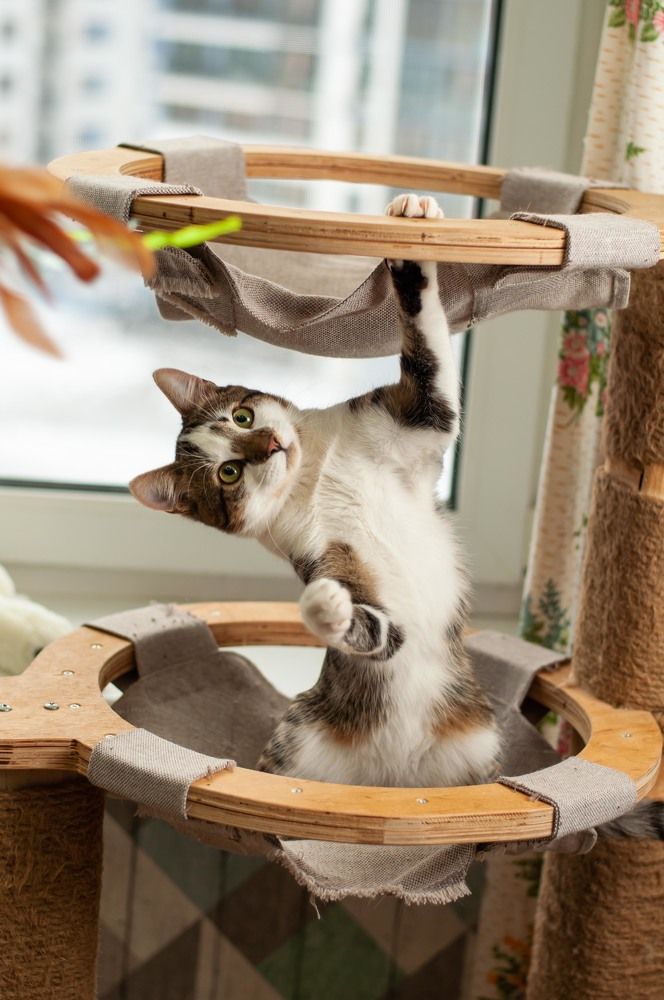 Photograph by Виктория Павлюк