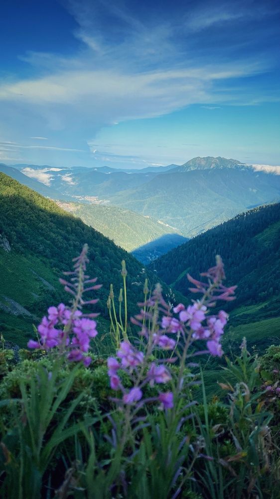 Photograph by Ленар Маликов