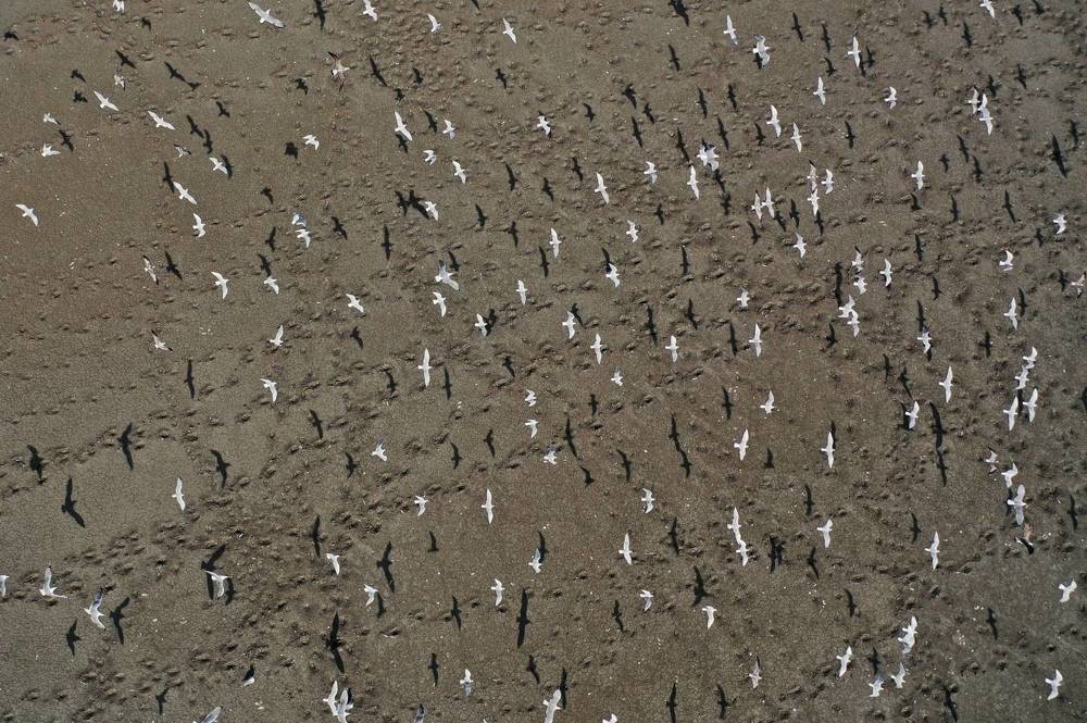 Соляные озёра Крыма