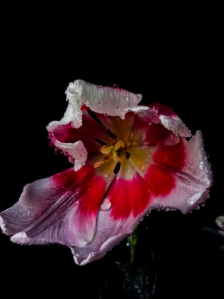 Photograph by Ирина Дегтярева