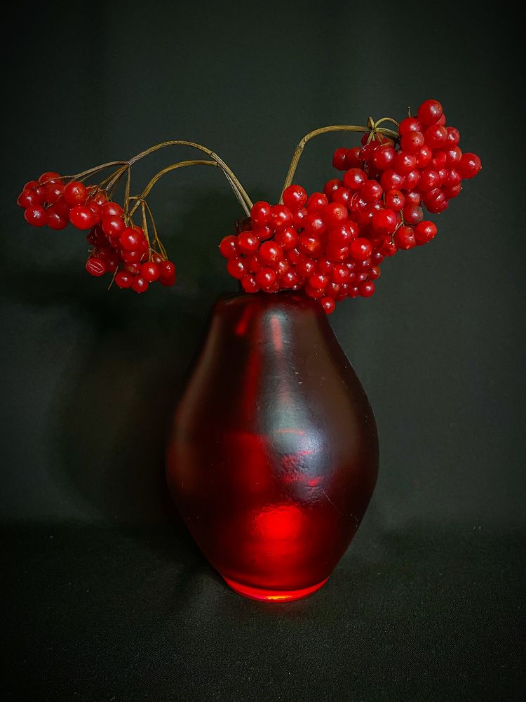 Калина красная