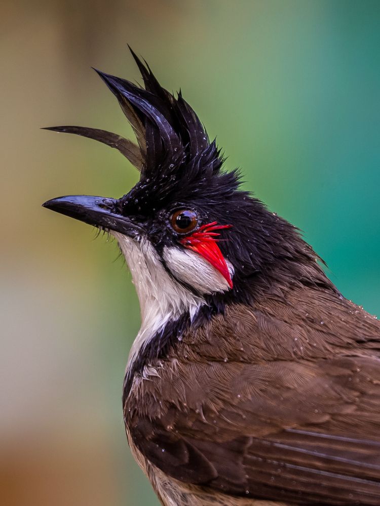 Fresh from the shower