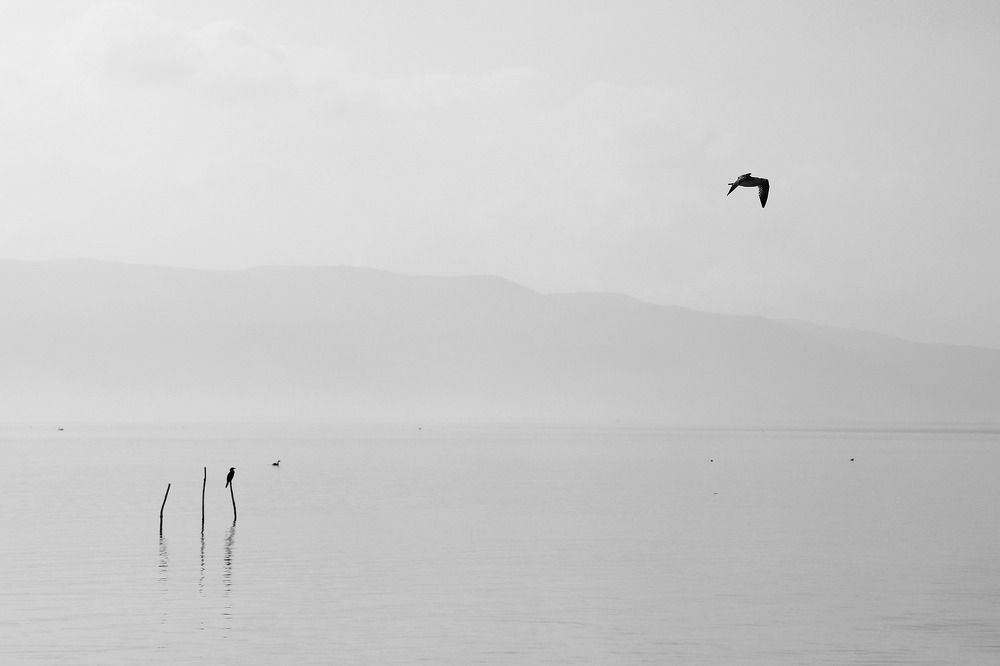 Photograph by Nurlan Tahirli