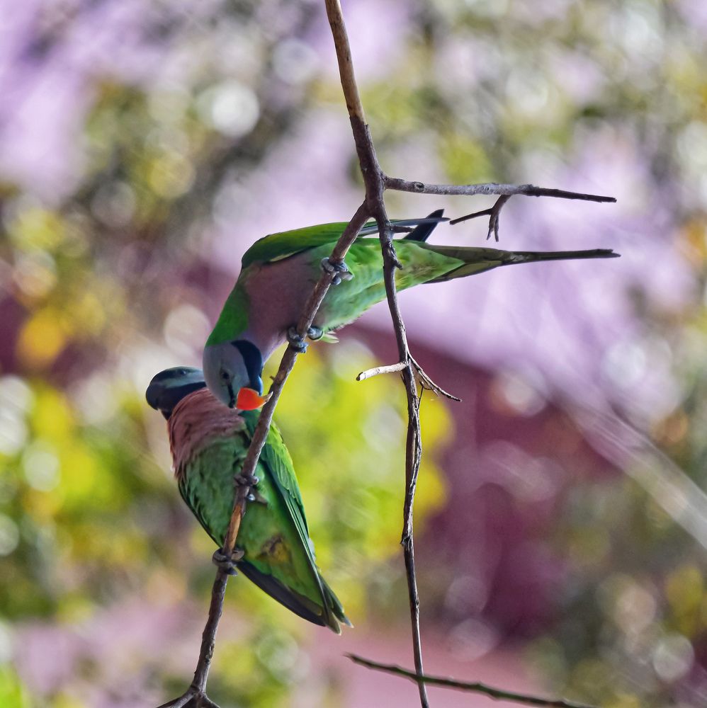 Photograph by Sarbani Chakraborty