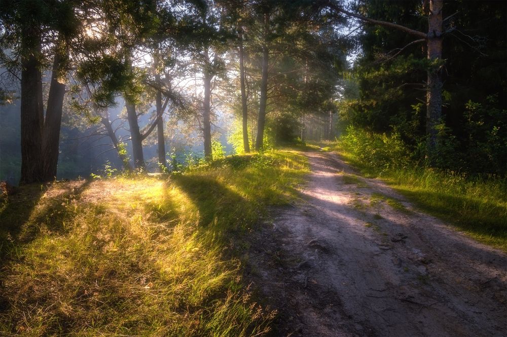 Photograph by Владимир