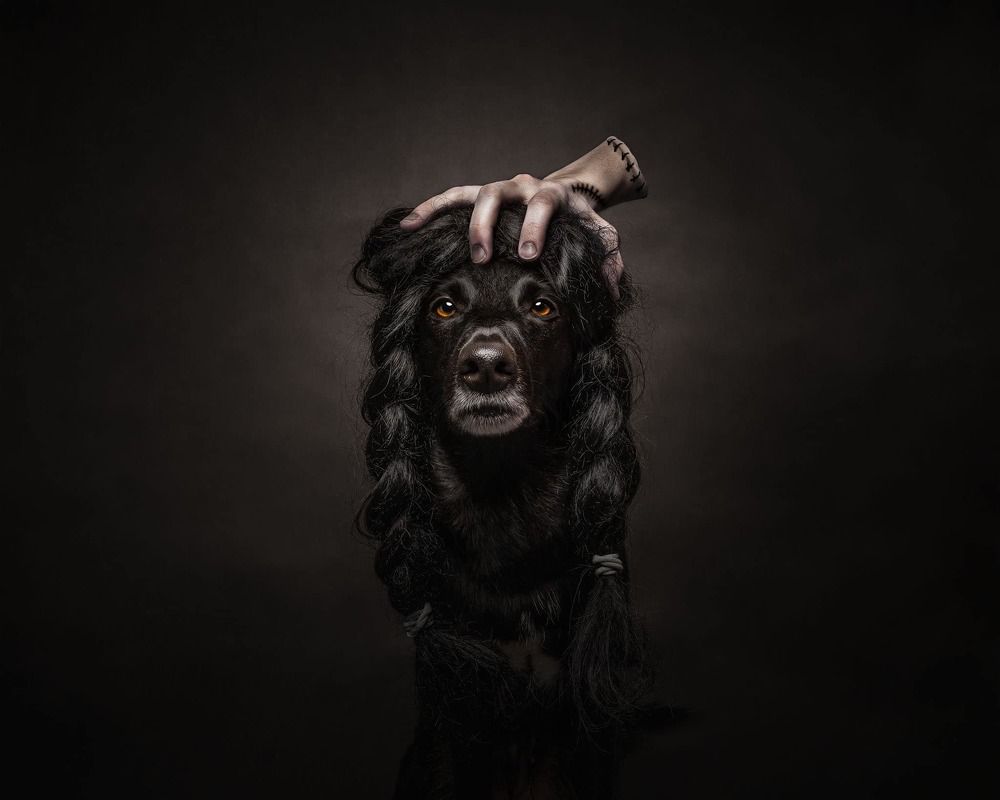 Photograph by Vladimir Smaženka