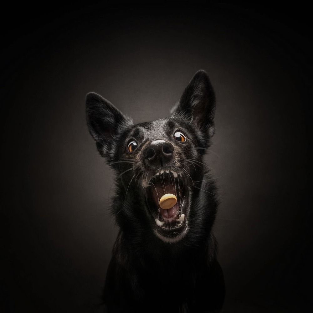 Photograph by Vladimir Smaženka