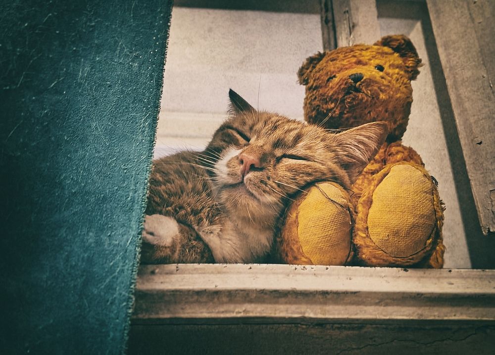 Дружба и доверие