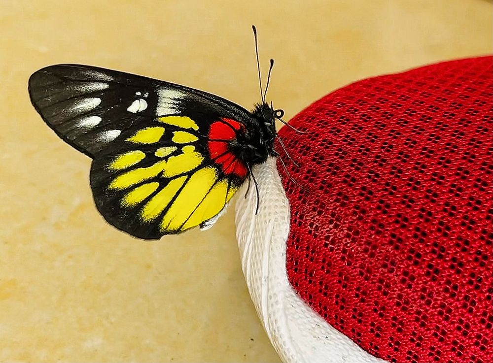 Photograph by Wang Li