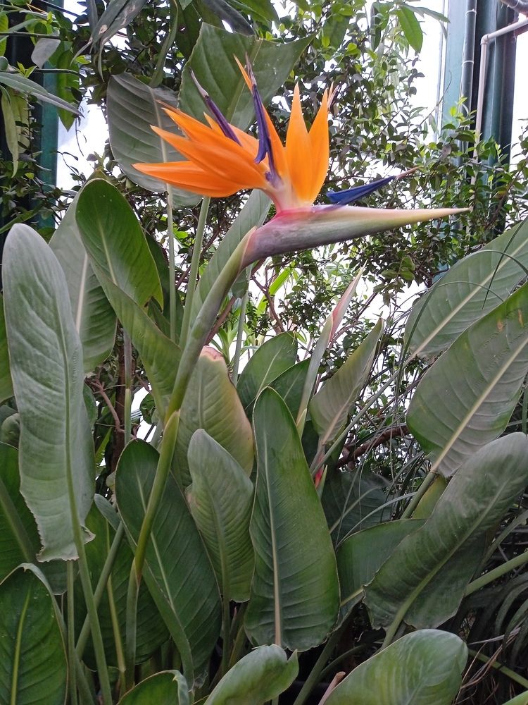 Photograph by Алия Хафизова