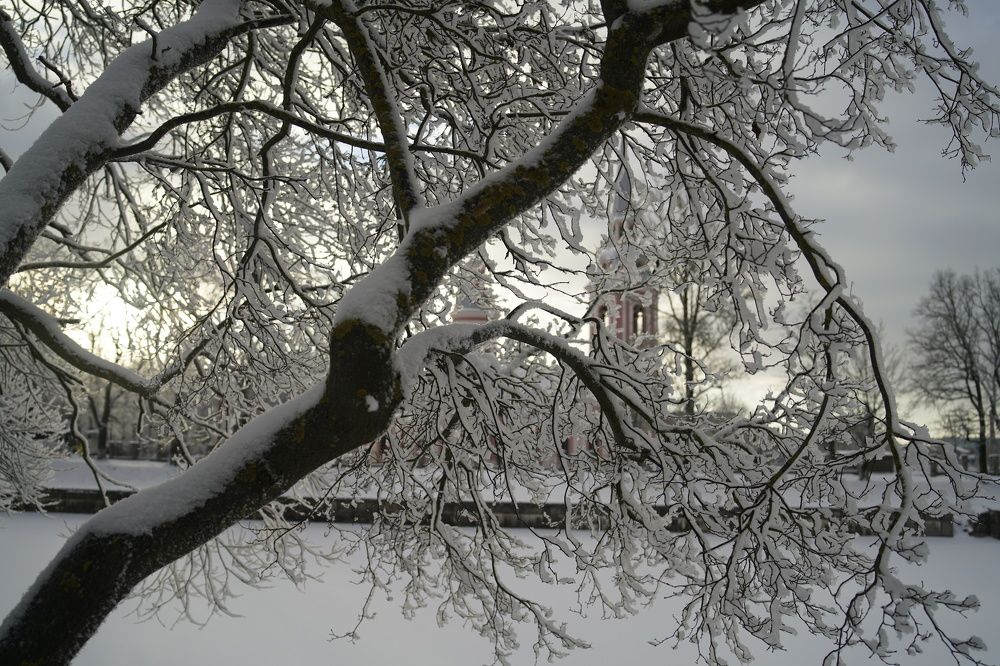 Photograph by ЗАХАРОВ Алексей