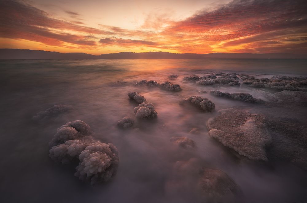 Photograph by Idan Livni