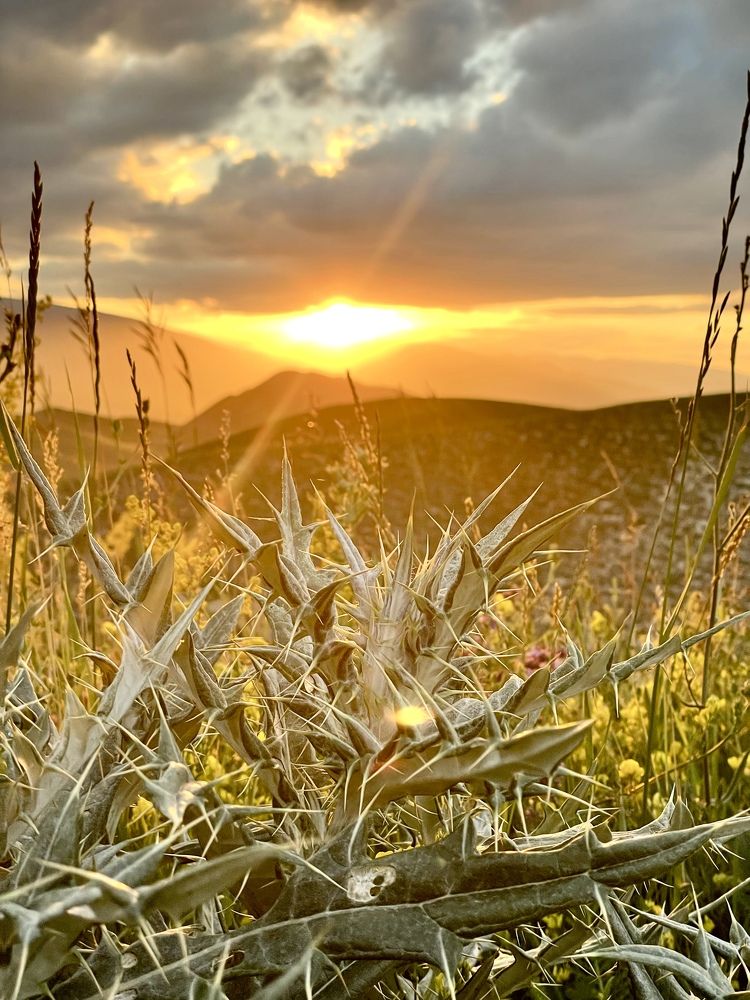 Photograph by Ольга Олейник