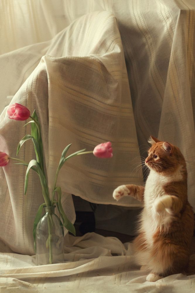 Photograph by Екатерина Фокина