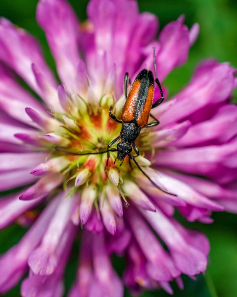 Photograph by Николай Головко