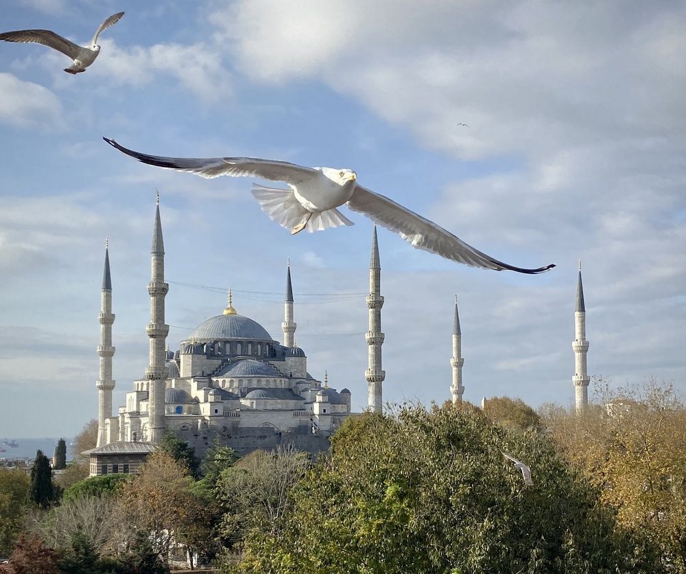 Photograph by Alexander Sheludyakov