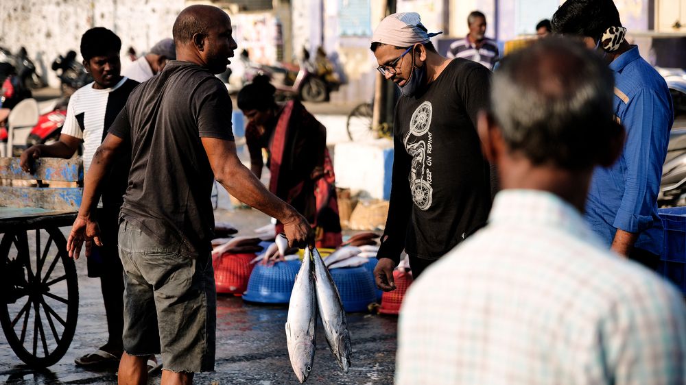 Photograph by Gopinath Duraisamy