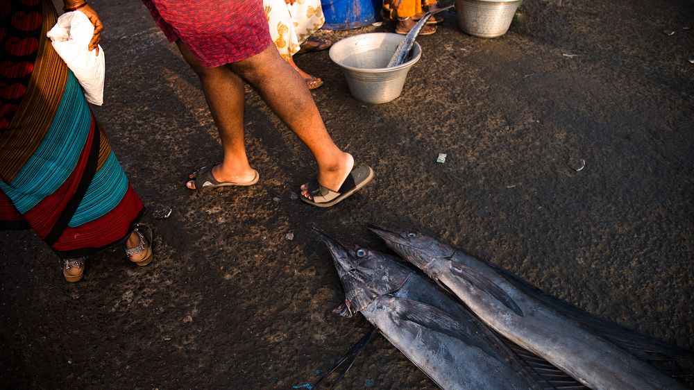 Photograph by Gopinath Duraisamy