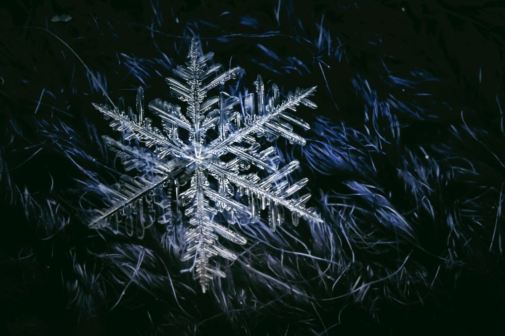 Фотография автора Ola La