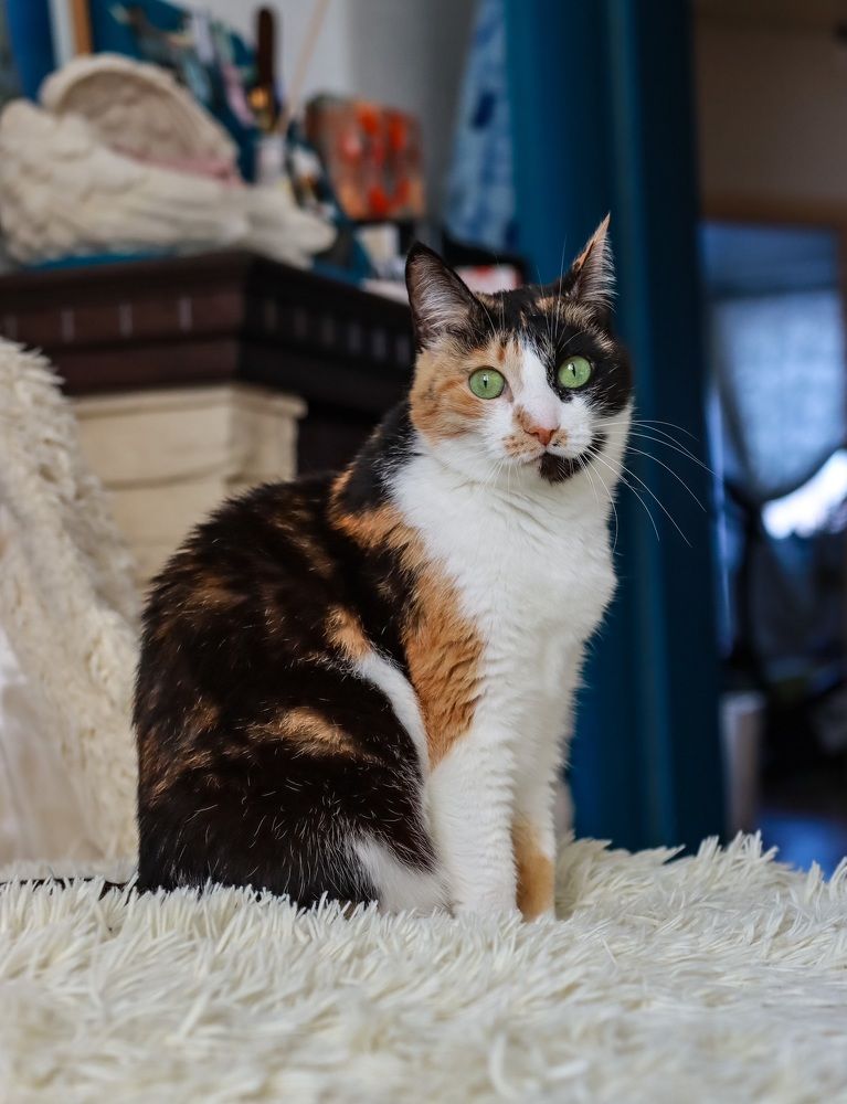 Photograph by Марина Моисеева