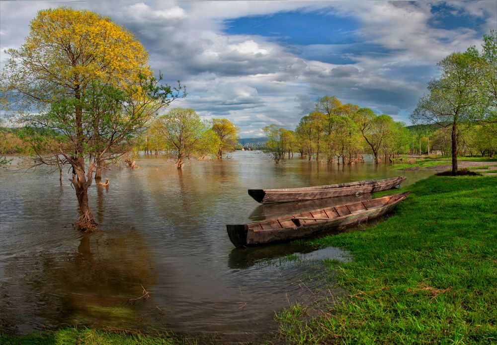 Photograph by Александр Гусаков