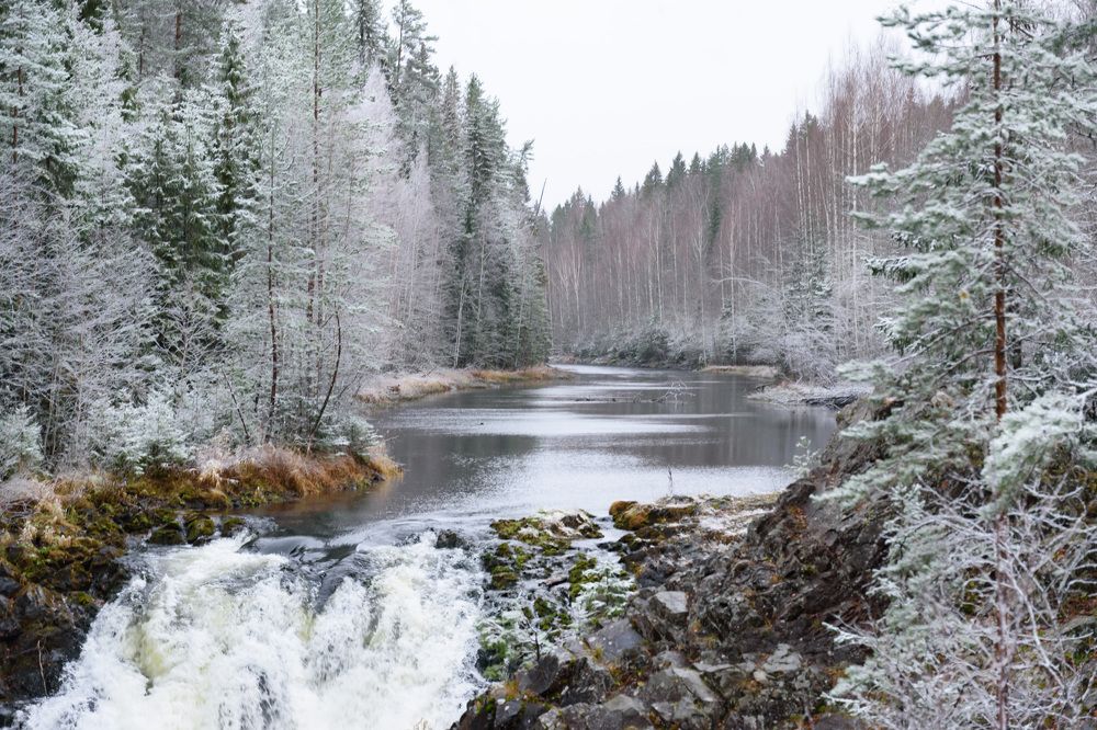 Фотография автора Рохмистрова Мария