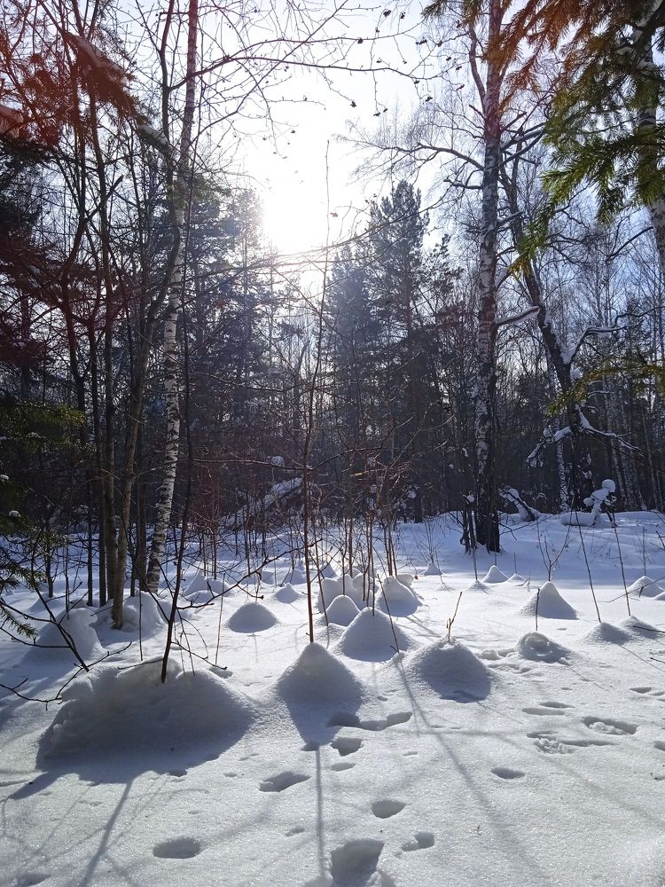 Photograph by Fedorova Valeria
