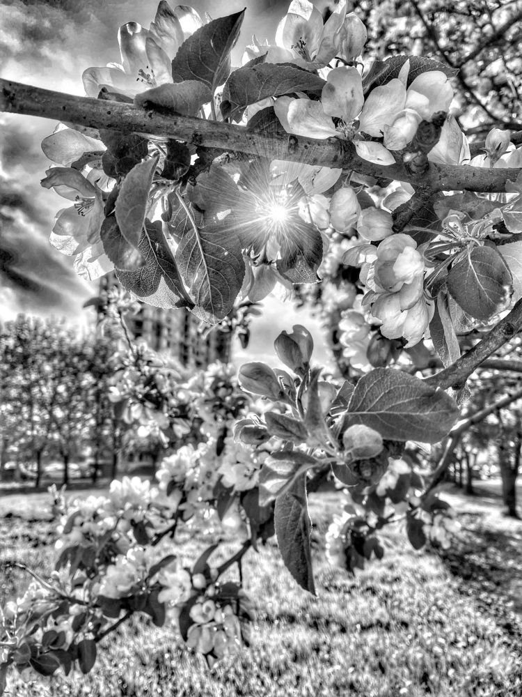 Фотография автора Екатерина Сапожникова