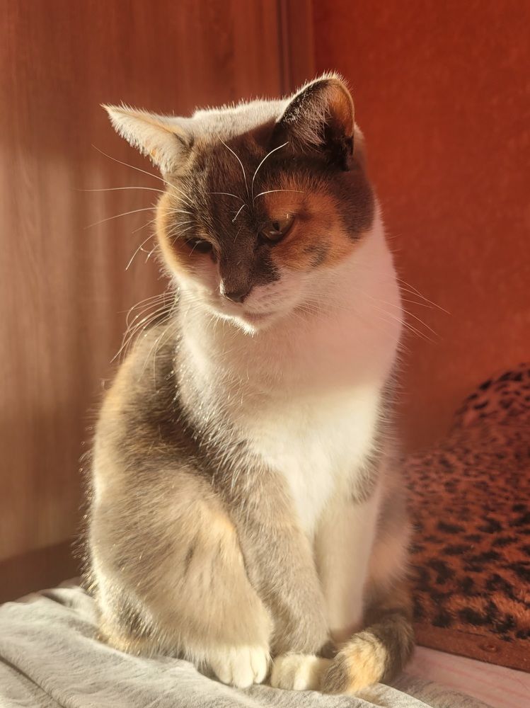 Photograph by Светлана Гаранина