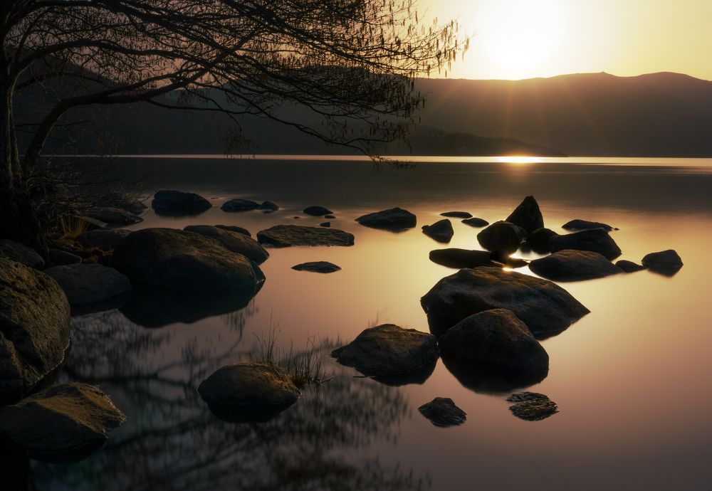 Photograph by Miguel Iglesias