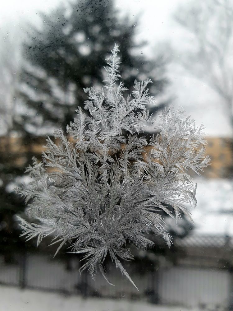 Photograph by Жанна