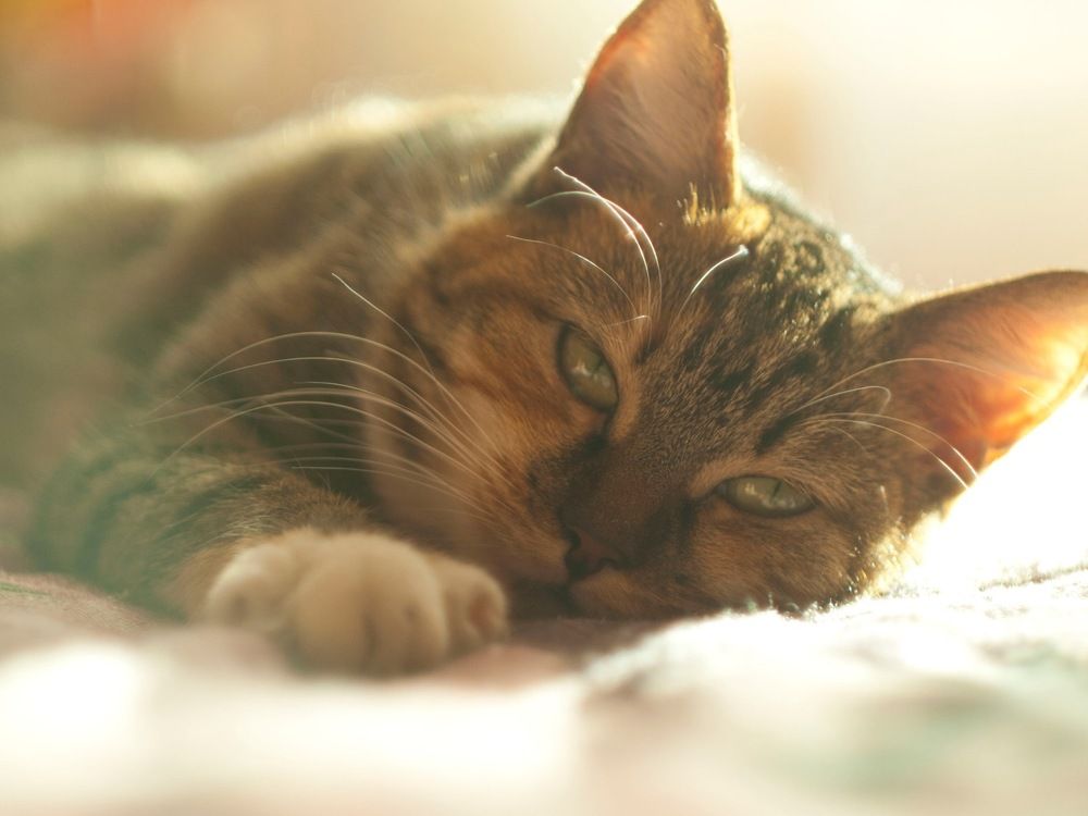 Photograph by Эльвира Большова