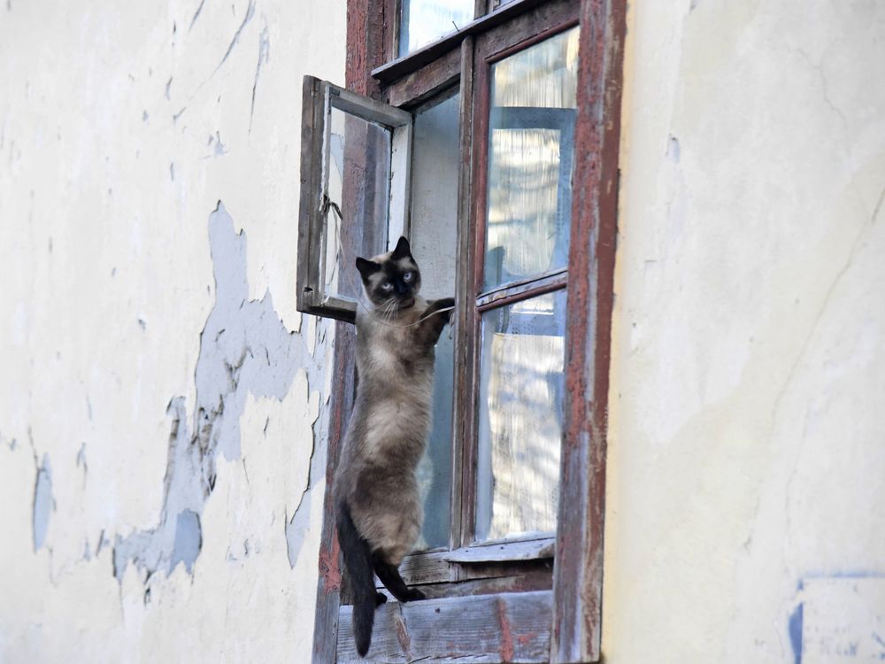 Привет, как дела?