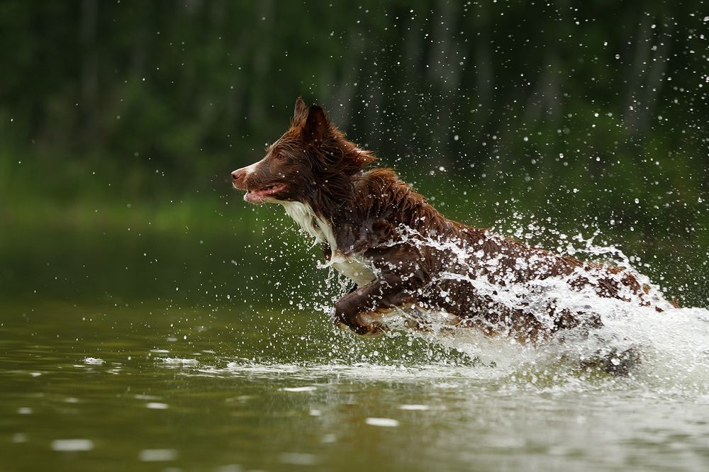 Photograph by Ольга Легенькая