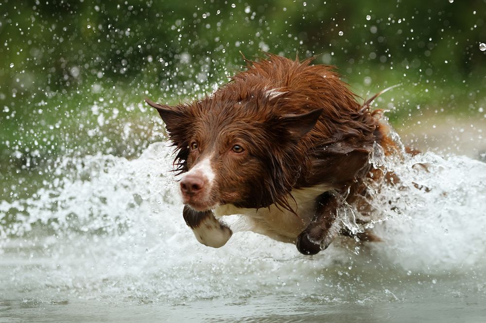 Photograph by Ольга Легенькая