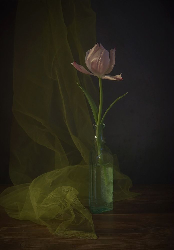 Фотография автора лилия беланова