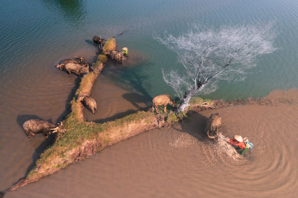 Photograph by Cao Ky Nhan