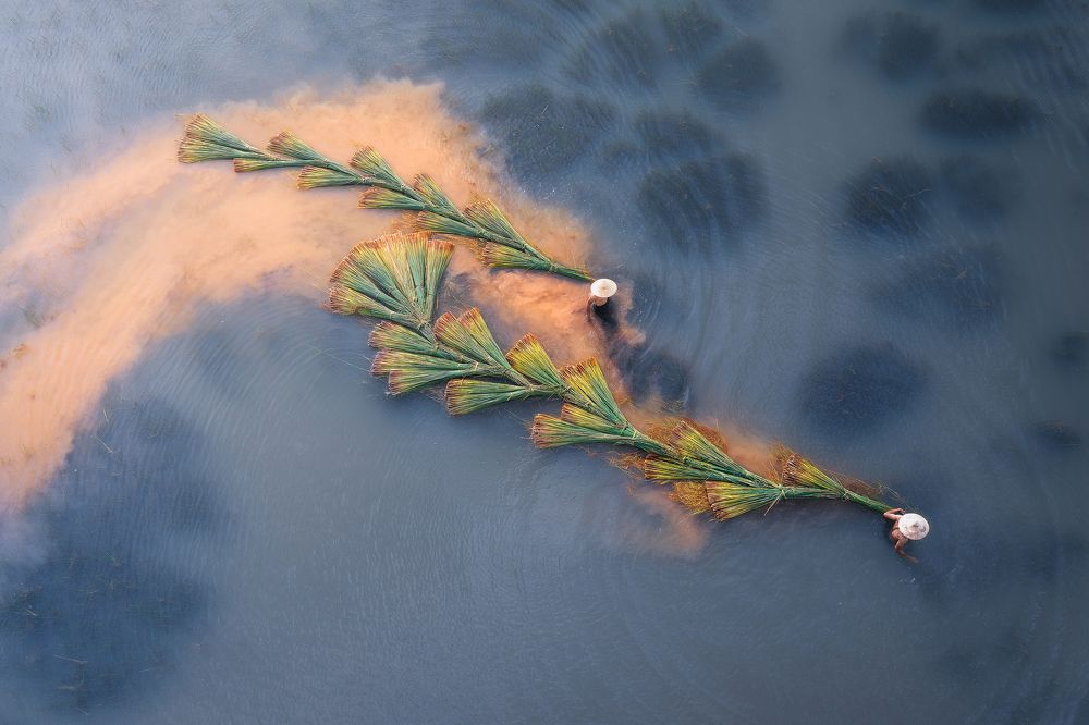 Photograph by Cao Ky Nhan