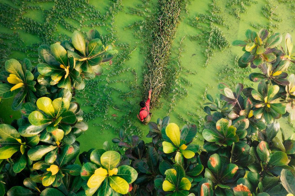 Photograph by Cao Ky Nhan