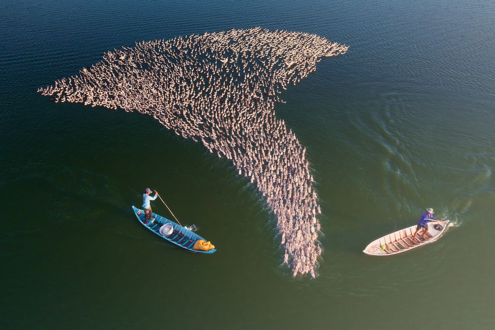 Photograph by Cao Ky Nhan