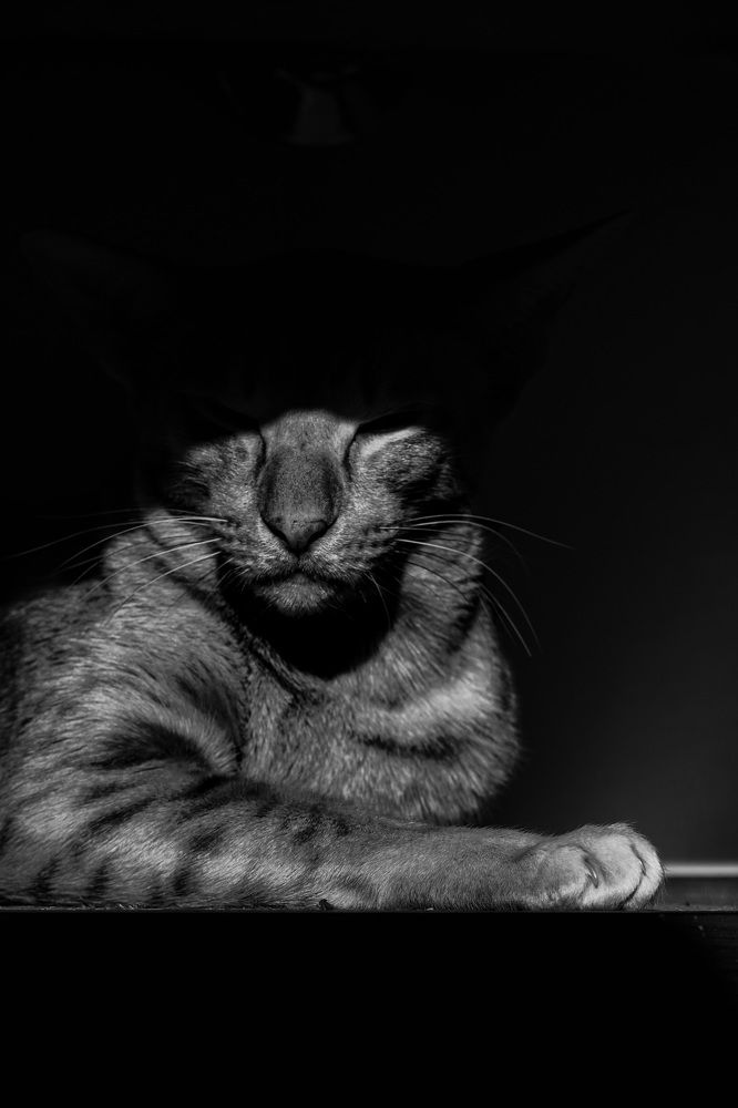 Фотография автора Наталья Князева